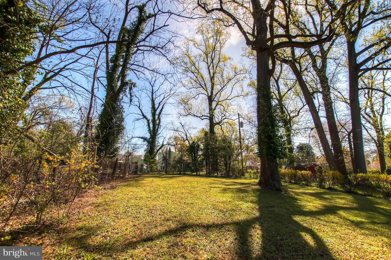609 Cylburn Road Baltimore, MD 21208 - Photo 27 of 30 a view of yard with trees
