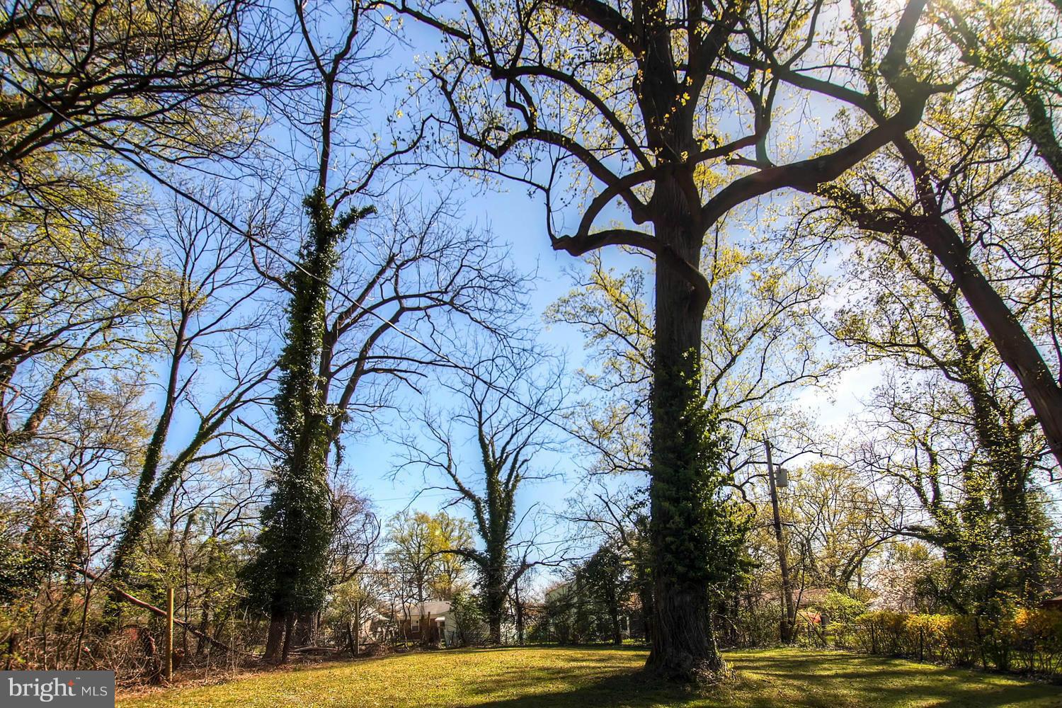 609 Cylburn Road Baltimore, MD 21208 - Photo 30 of 30 a view of a yard with large trees