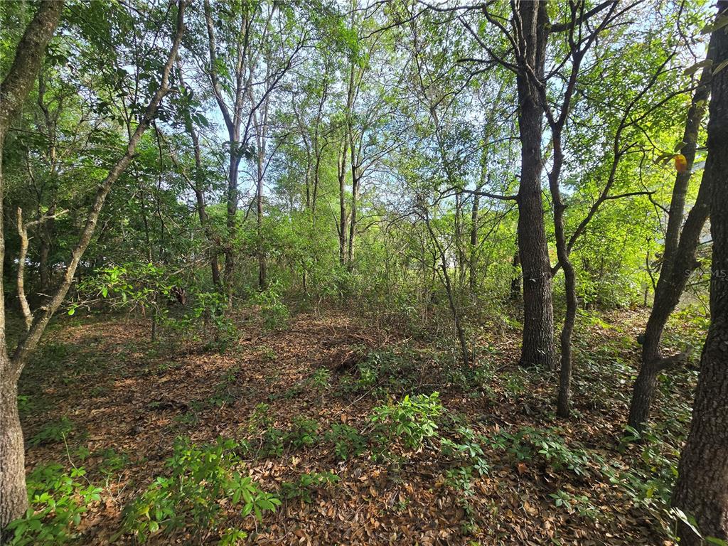 6659 East Grayson Street Inverness, FL 34452 - Photo 11 of 11