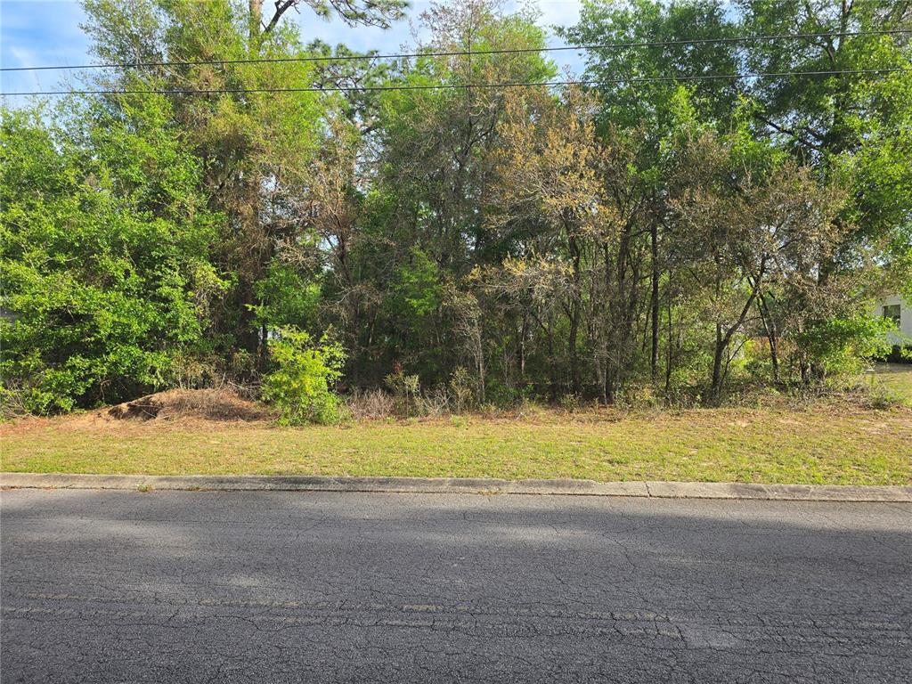 6659 East Grayson Street Inverness, FL 34452 - Photo 3 of 11