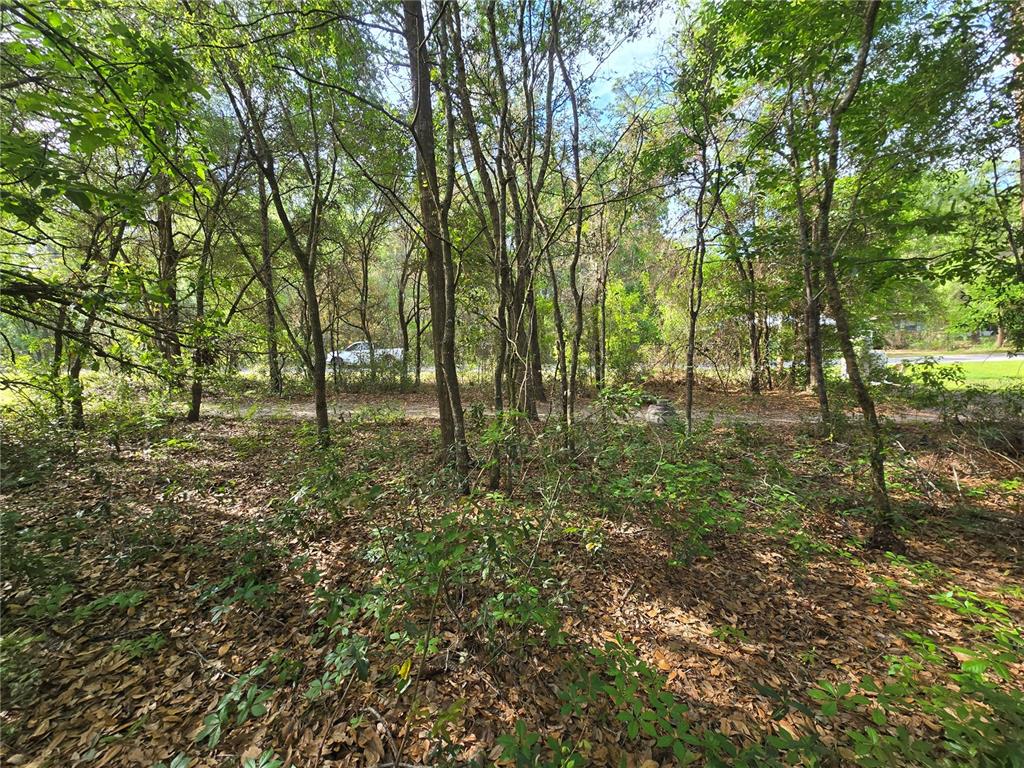 6659 East Grayson Street Inverness, FL 34452 - Photo 4 of 11