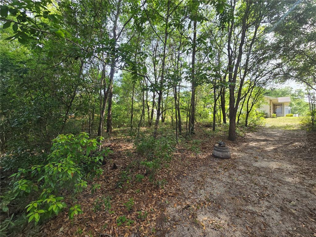 6659 East Grayson Street Inverness, FL 34452 - Photo 5 of 11