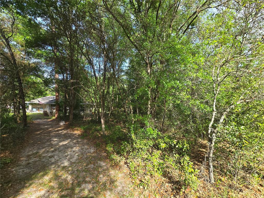 6659 East Grayson Street Inverness, FL 34452 - Photo 6 of 11