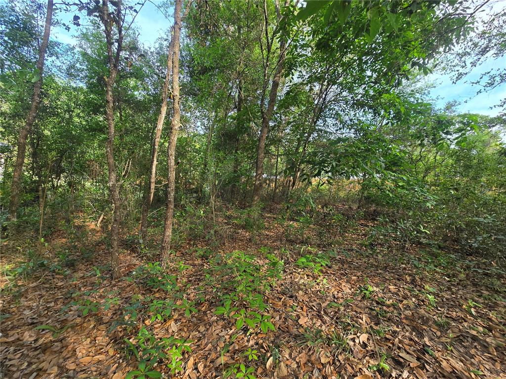 6659 East Grayson Street Inverness, FL 34452 - Photo 7 of 11