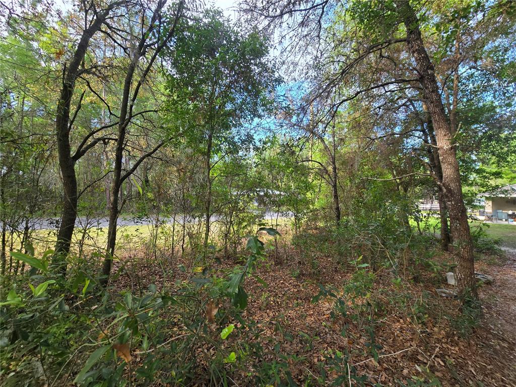 6659 East Grayson Street Inverness, FL 34452 - Photo 9 of 11