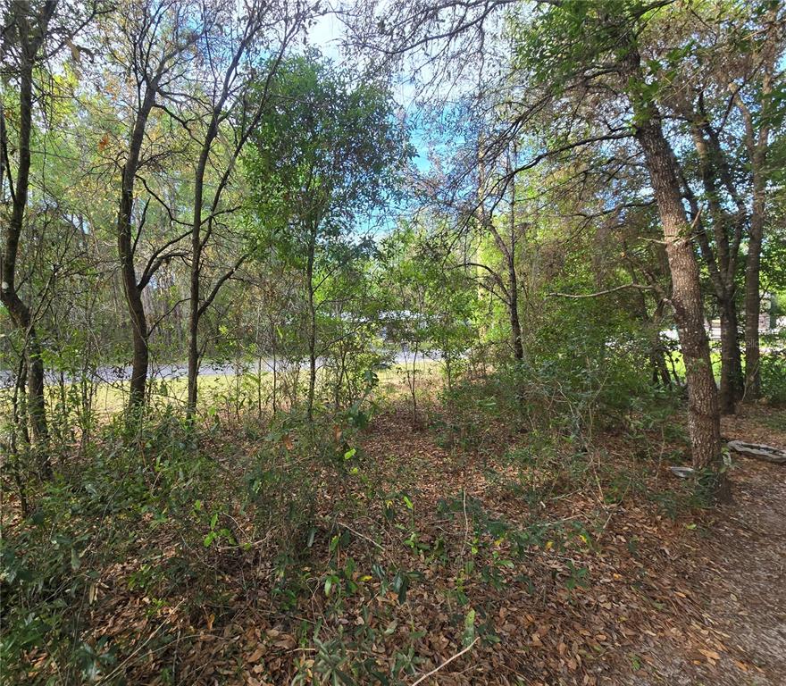 6659 East Grayson Street Inverness, FL 34452 - Photo 10 of 11