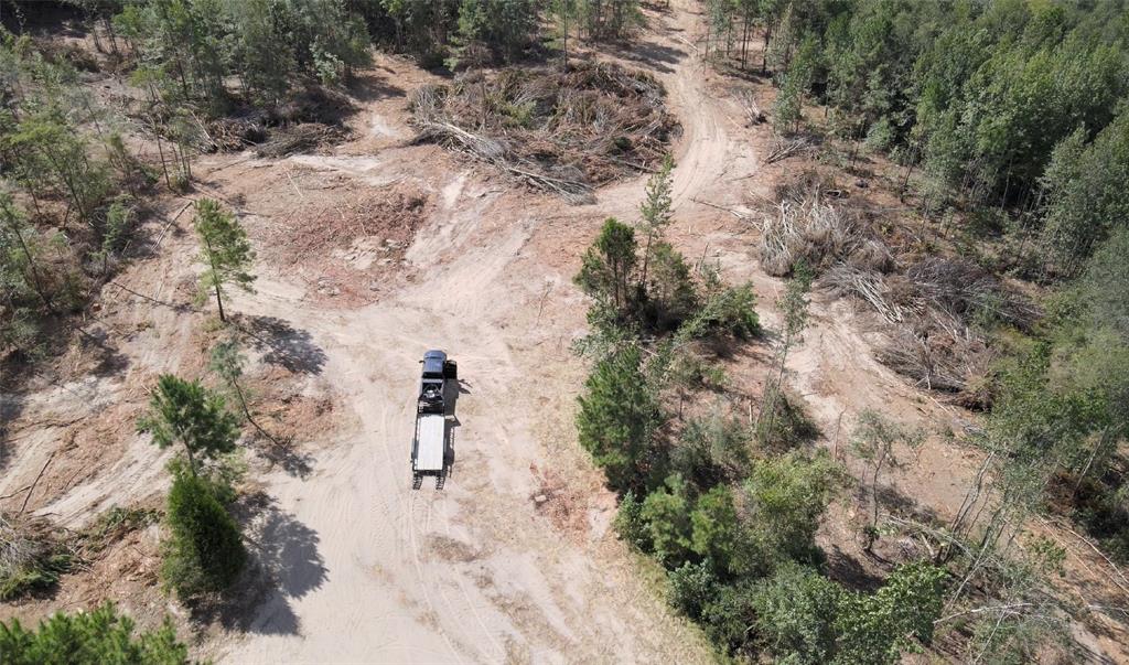 500 Uren Lee Road Overton, TX 75684 - Photo 11 of 18 a picture of trees