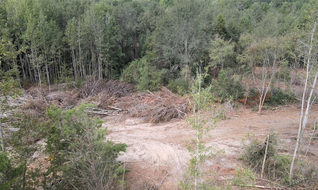 500 Uren Lee Road Overton, TX 75684 - Photo 14 of 18 a view of a forest filled with trees