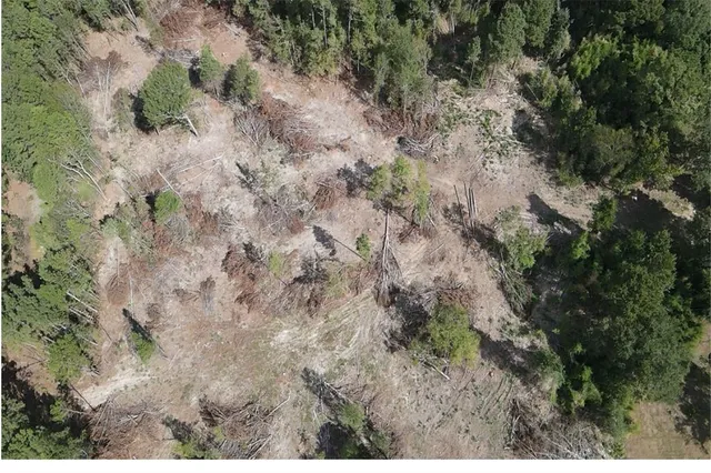 a view of a dry field with lots of bushes