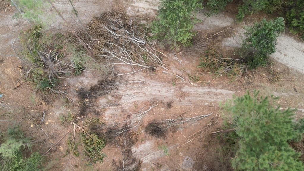 500 Uren Lee Road Overton, TX 75684 - Photo 3 of 18 a view of a yard with green space and trees