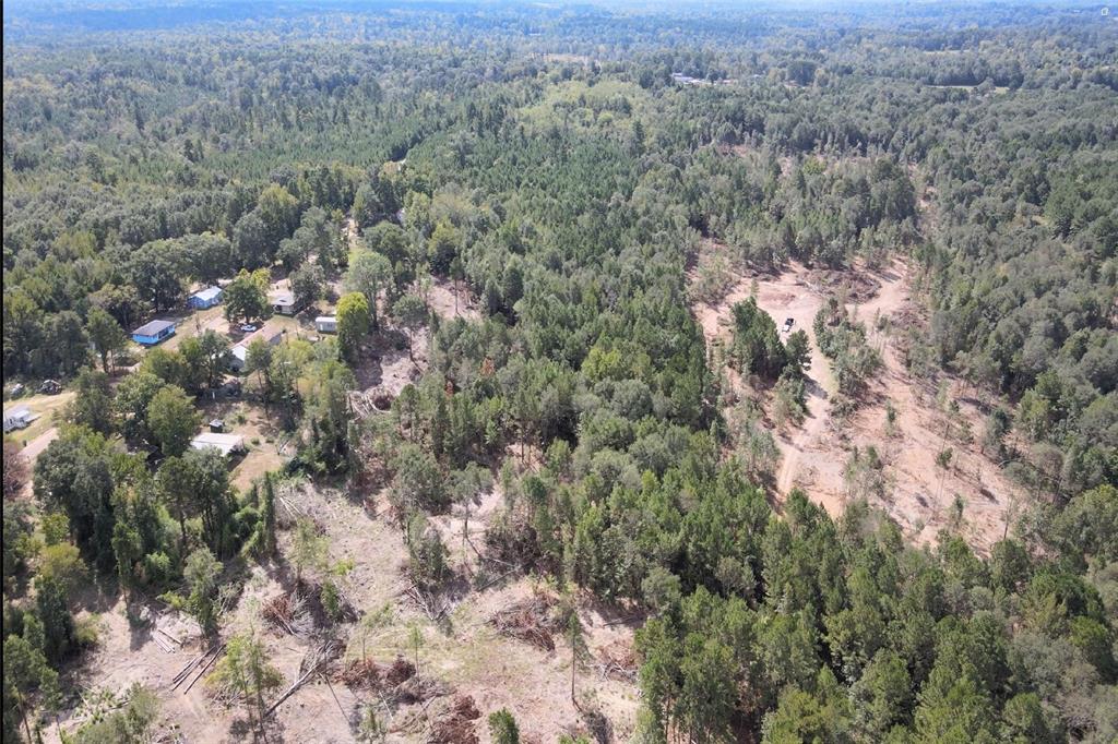 500 Uren Lee Road Overton, TX 75684 - Photo 4 of 18 a view of a forest with lots of trees