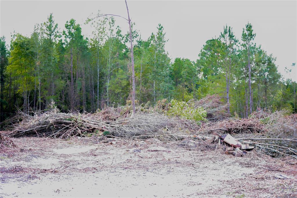 500 Uren Lee Road Overton, TX 75684 - Photo 9 of 18 a view of a yard with plants and trees