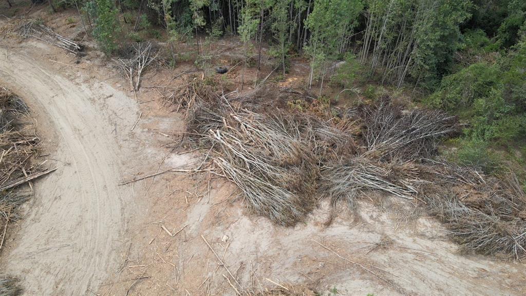 500 Uren Lee Road Overton, TX 75684 - Photo 10 of 18 a view of a dry yard with trees in the background