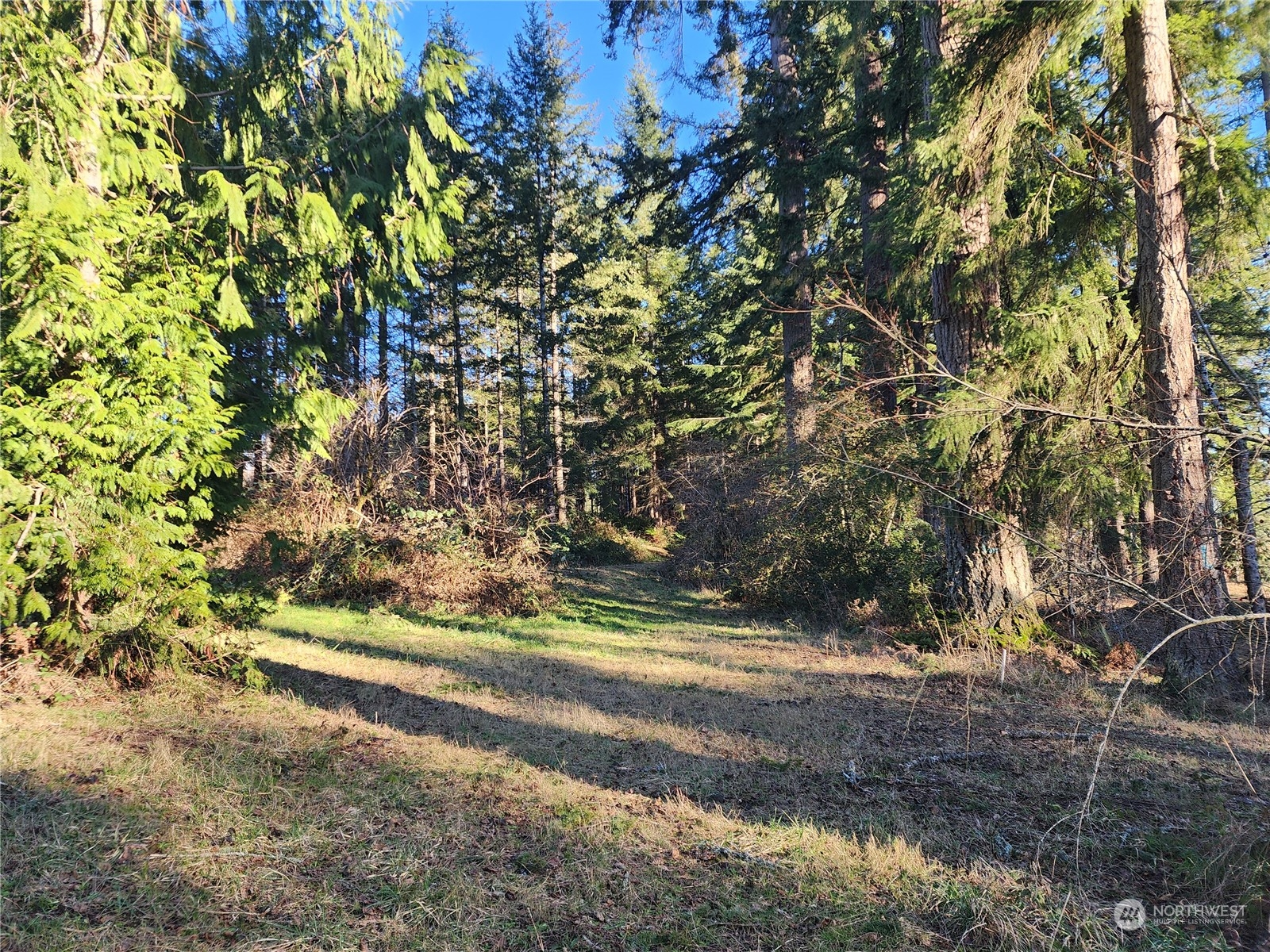 173 Jim's View Road Silverlake, WA 98645 - Photo 10 of 22 Gallery Image 10