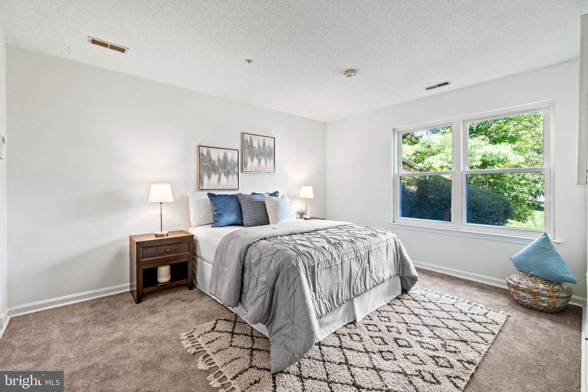 2601 Camelback Lane, Unit 310 Silver Spring, MD 20906 - Photo 10 of 20 Primary Bedroom