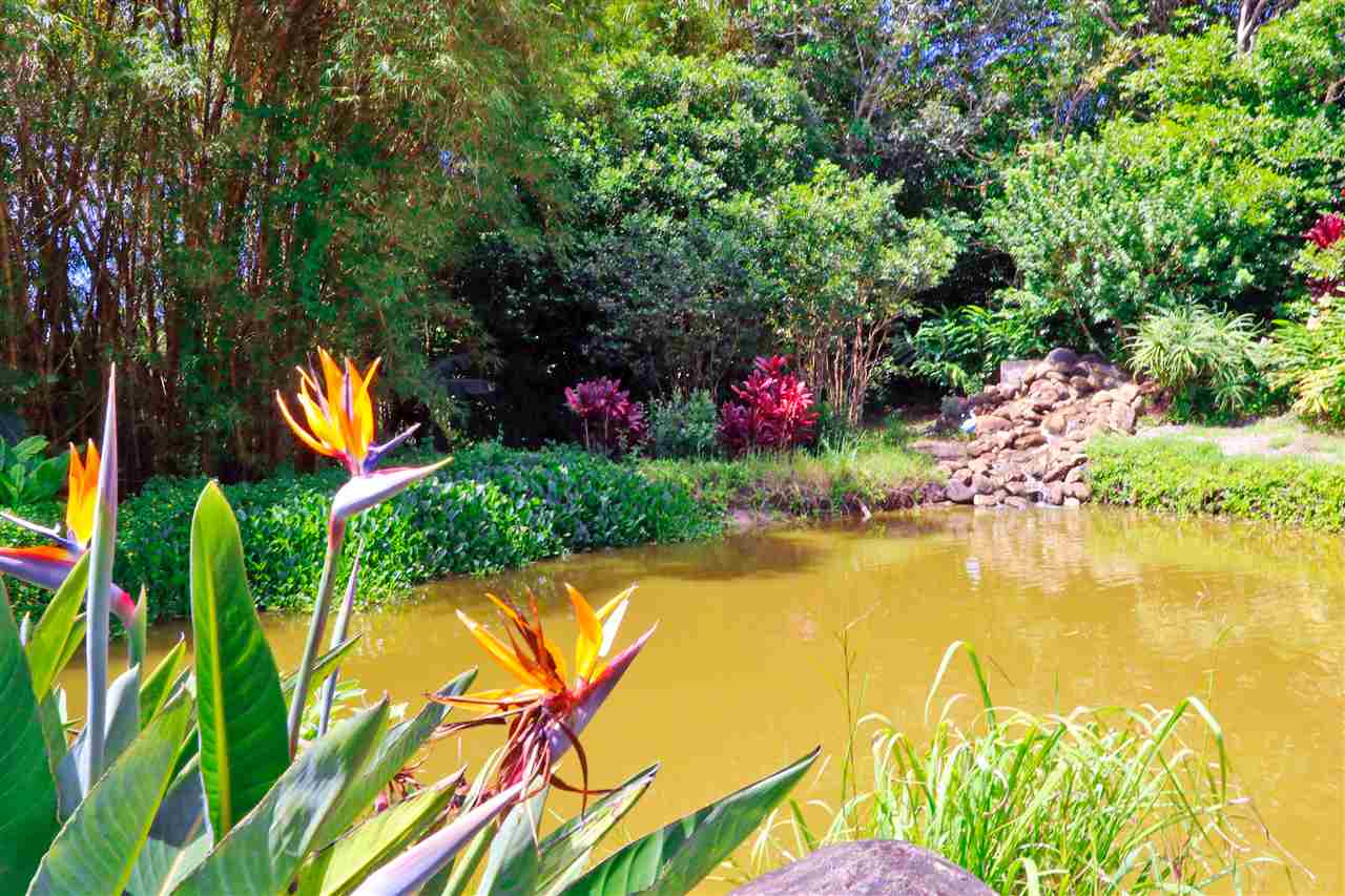 620 Awalau Road Haiku, HI 96708 - Photo 22 of 30 a view of an swimming pool and outdoor space