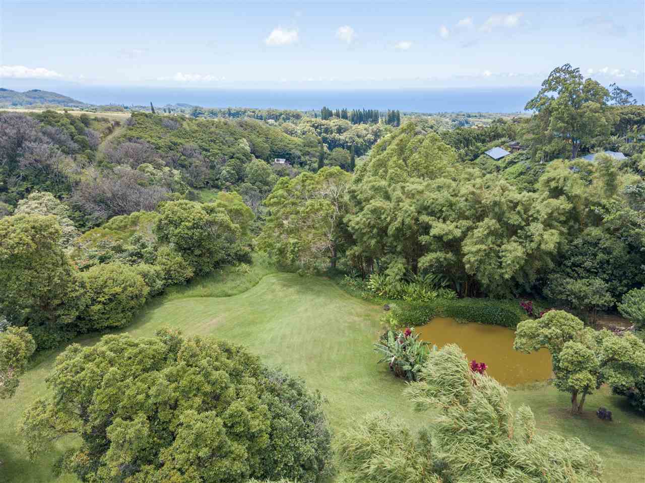 620 Awalau Road Haiku, HI 96708 - Photo 5 of 30 a view of a green yard with large trees