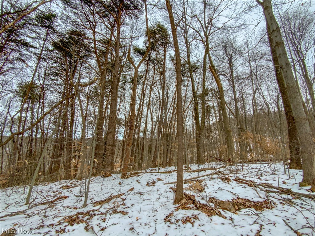 0 Lookout Road Lancaster, OH 43130 - Photo 22 of 35