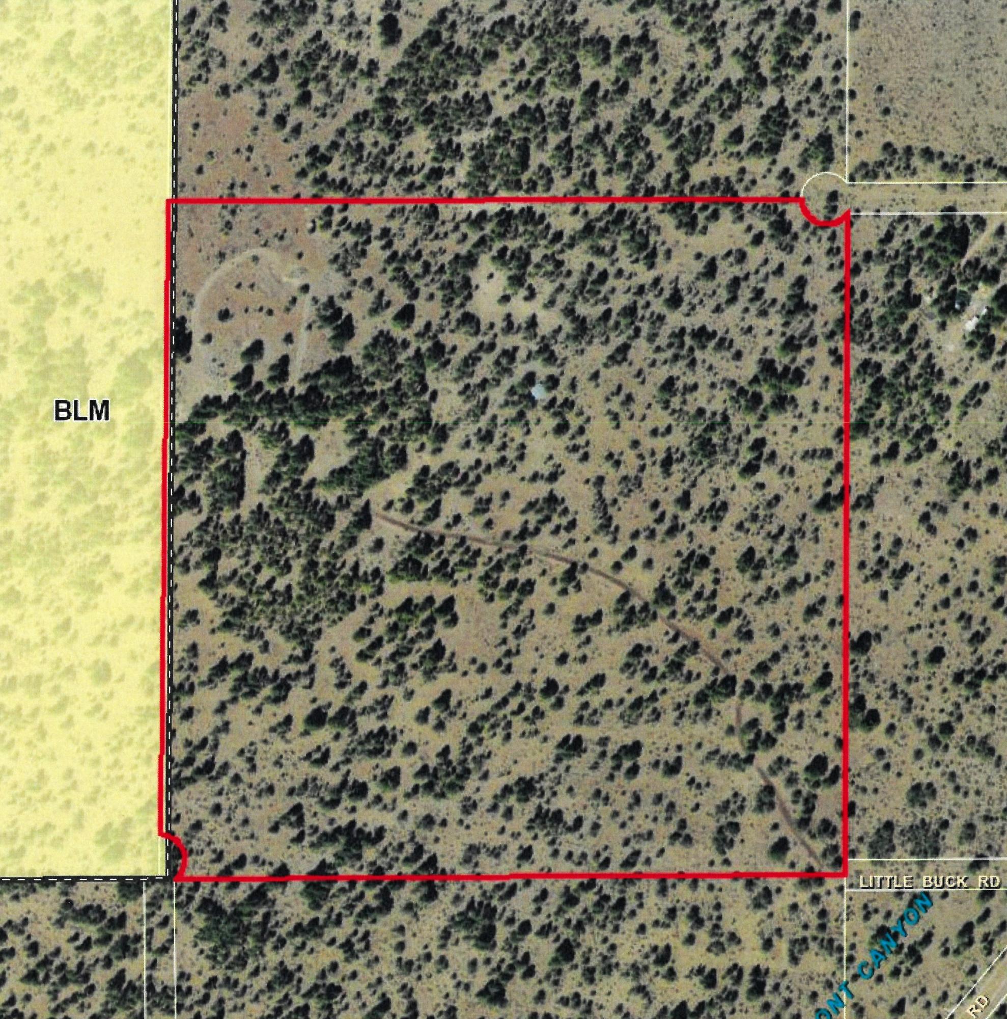17400 Little Buck Road Sisters, OR 97759 - Photo 14 of 16 14