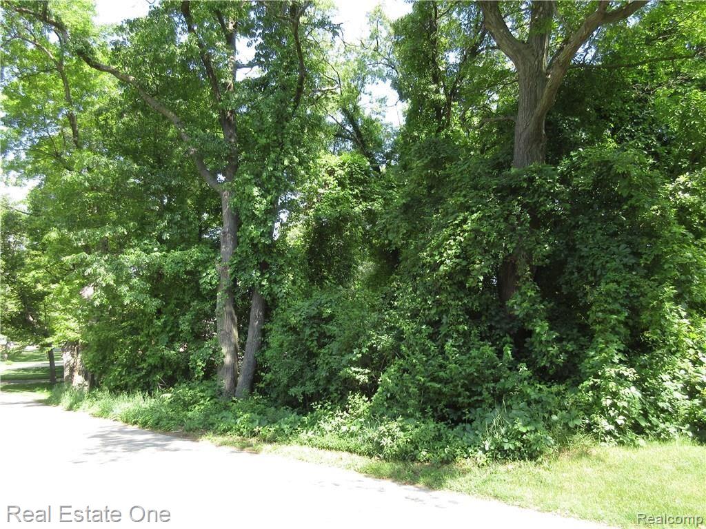 0 Cole Road Lake Orion, MI 48362 - Photo 2 of 5 Gallery Image 2