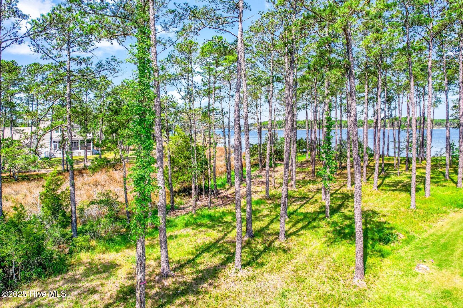 241 Oyster Point Road Oriental, NC 28571 - Photo 21 of 53 241 Oyster Point (26)