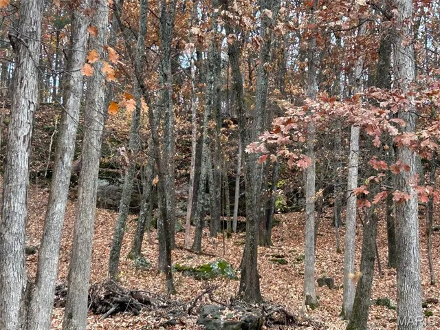 $550,000 | 209 Epple-Fricke Drive, Hermann, MO 65041