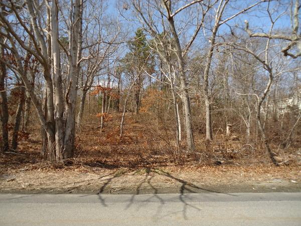 1270 County Road Cataumet, MA 02534 - Photo 3 of 4 a backyard of a house with lots of green space