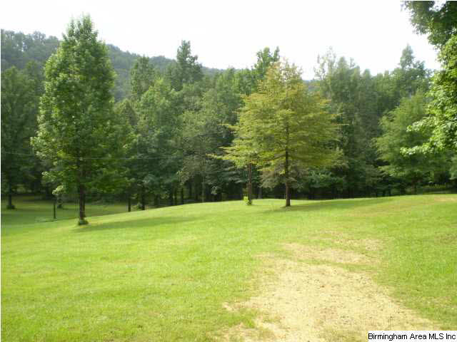 2758 Roulain Road, Unit 1 68 AC Odenville, AL 35120 - Photo 3 of 6