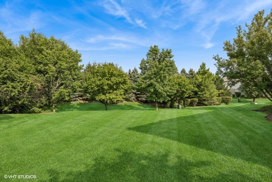 1541 Millbrook Drive, Unit 1541 Algonquin, IL 60102 - Photo 17 of 17 a view of a big yard with plants and large trees