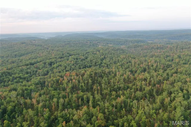 $169,000 | 2 Highway 34 Silva Mo 63964, Greenville, MO 63944