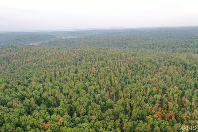 $169,000 | 2 Highway 34 Silva Mo 63964, Greenville, MO 63944