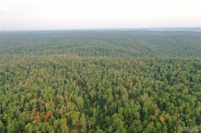 $169,000 | 2 Highway 34 Silva Mo 63964, Greenville, MO 63944