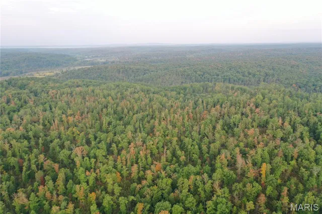 $169,000 | 2 Highway 34 Silva Mo 63964, Greenville, MO 63944