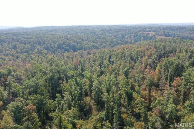 $169,000 | 2 Highway 34 Silva Mo 63964, Greenville, MO 63944