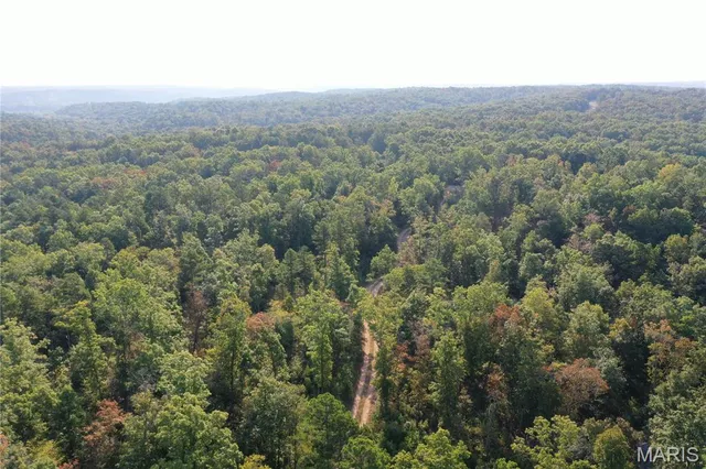 $169,000 | 2 Highway 34 Silva Mo 63964, Greenville, MO 63944