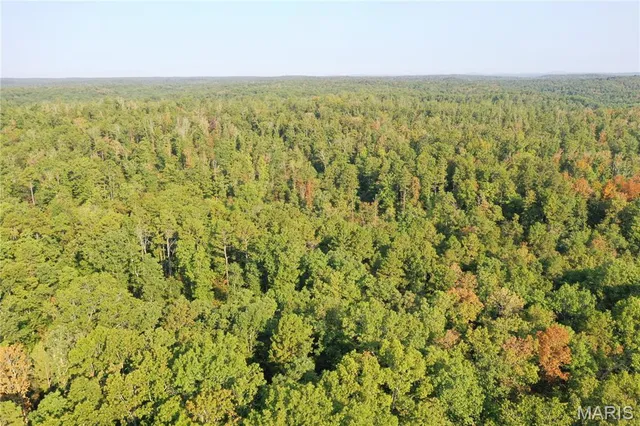 $169,000 | 2 Highway 34 Silva Mo 63964, Greenville, MO 63944