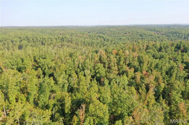 $169,000 | 2 Highway 34 Silva Mo 63964, Greenville, MO 63944