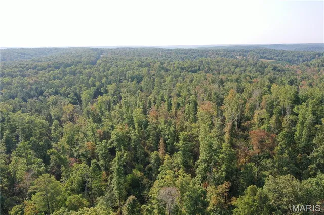 $169,000 | 2 Highway 34 Silva Mo 63964, Greenville, MO 63944