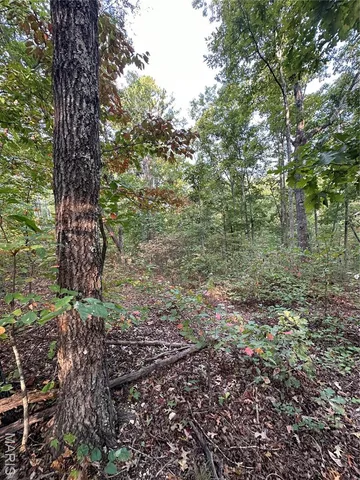 $169,000 | 2 Highway 34 Silva Mo 63964, Greenville, MO 63944