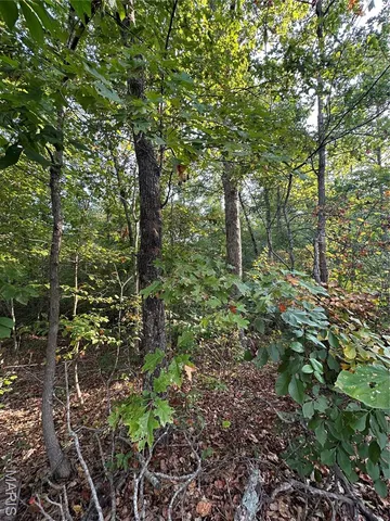 $169,000 | 2 Highway 34 Silva Mo 63964, Greenville, MO 63944