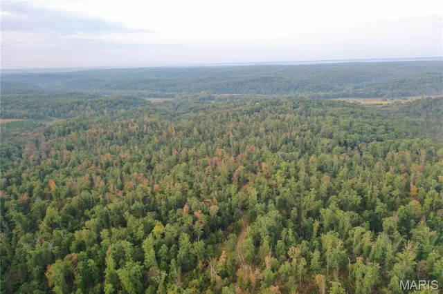 $169,000 | 2 Highway 34 Silva Mo 63964, Greenville, MO 63944