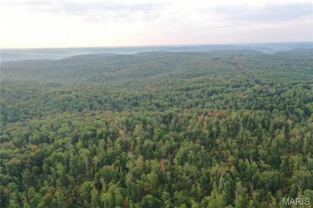 $169,000 | 2 Highway 34 Silva Mo 63964, Greenville, MO 63944