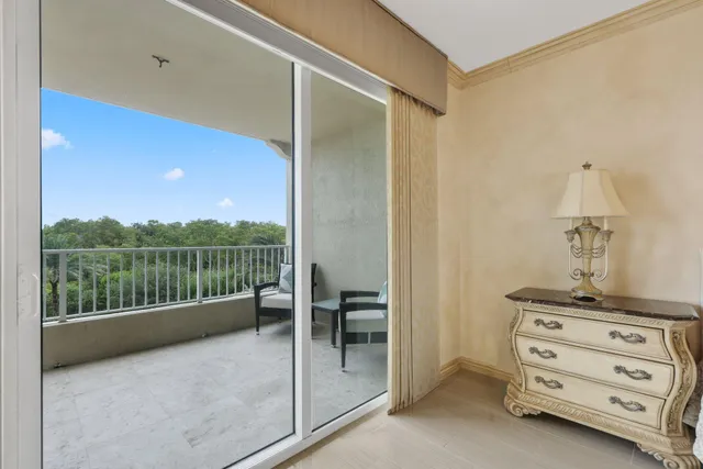 a view of a park with palm trees