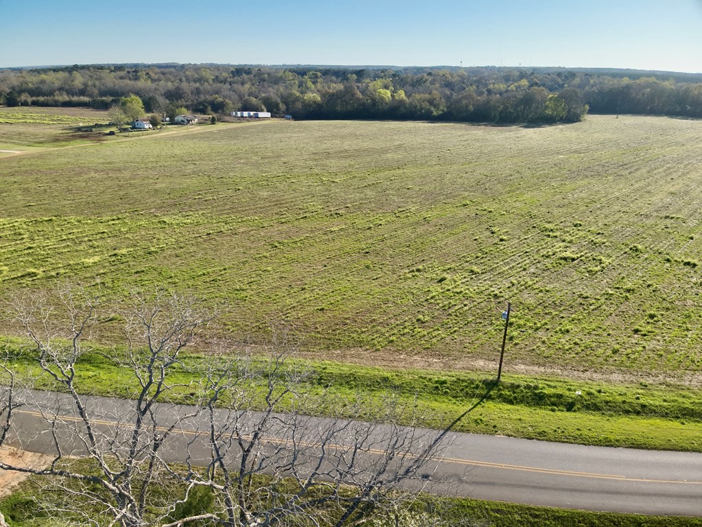 3.42-acres Omussee Road Cowarts, AL 36321 - Photo 4 of 13