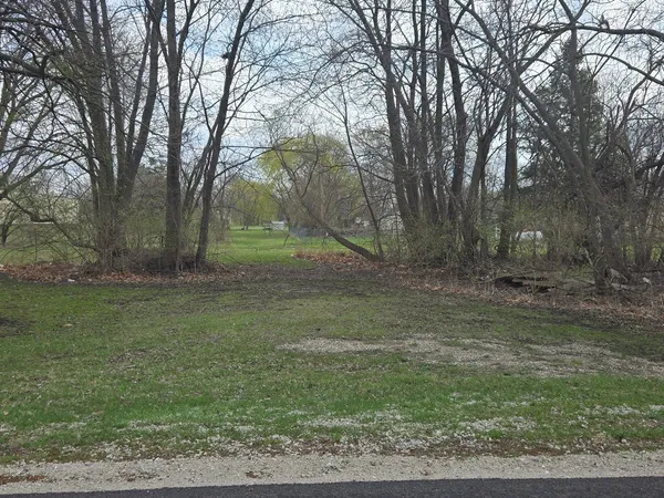 $5,000 | 0 North Mitchell Street, Braceville, IL 60407