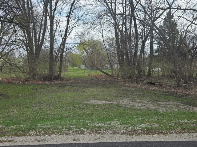 $5,000 | 0 North Mitchell Street, Braceville, IL 60407