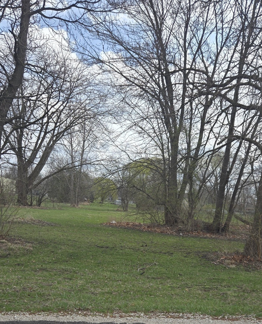 0 North Mitchell Street Braceville, IL 60407 - Photo 2 of 3 Gallery Image 2
