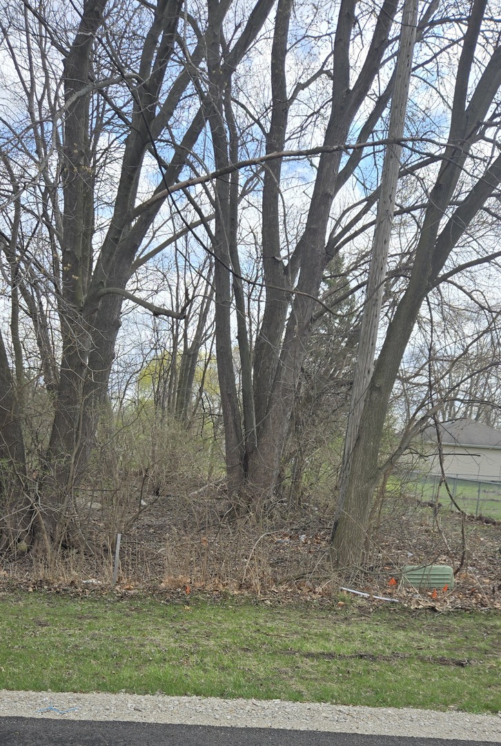 0 North Mitchell Street Braceville, IL 60407 - Photo 3 of 3 Gallery Image 3
