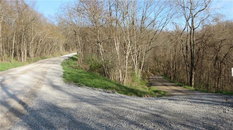 0 Drift Ridge Road / Sheppard Run Spraggs, PA 15362 - Photo 12 of 20 a view of a pathway with a yard
