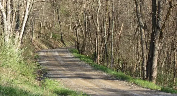 a view of a road near a house